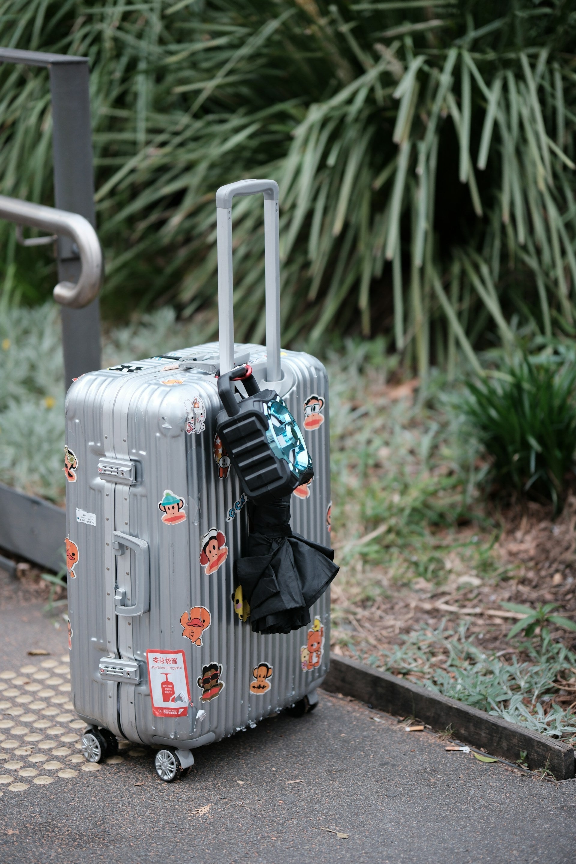 Travel Accessories