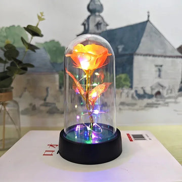 Orange Colored light