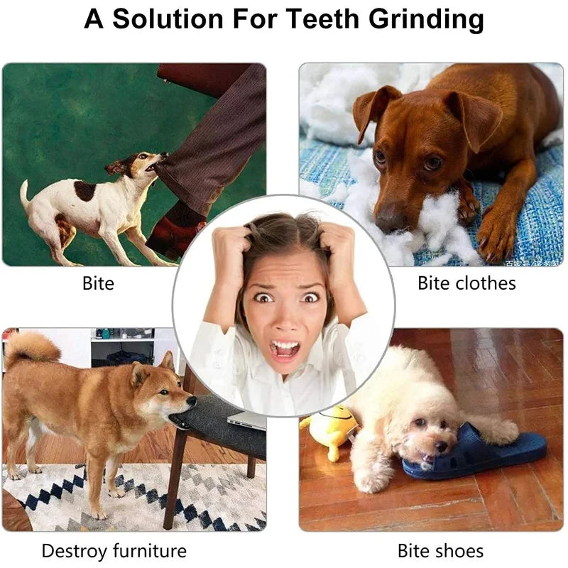Interactive Dog Treat Feeder Chew Ball Toy